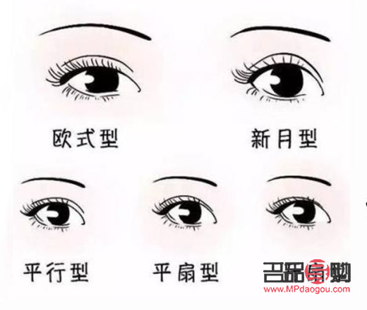 双眼皮什么形状的好看(双眼皮什么形状的好看一点)