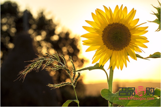 美容师要什么手法(美容师要什么手法才能做)