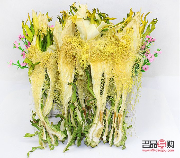 没学美容学什么？探索美容之外的多元技能之路