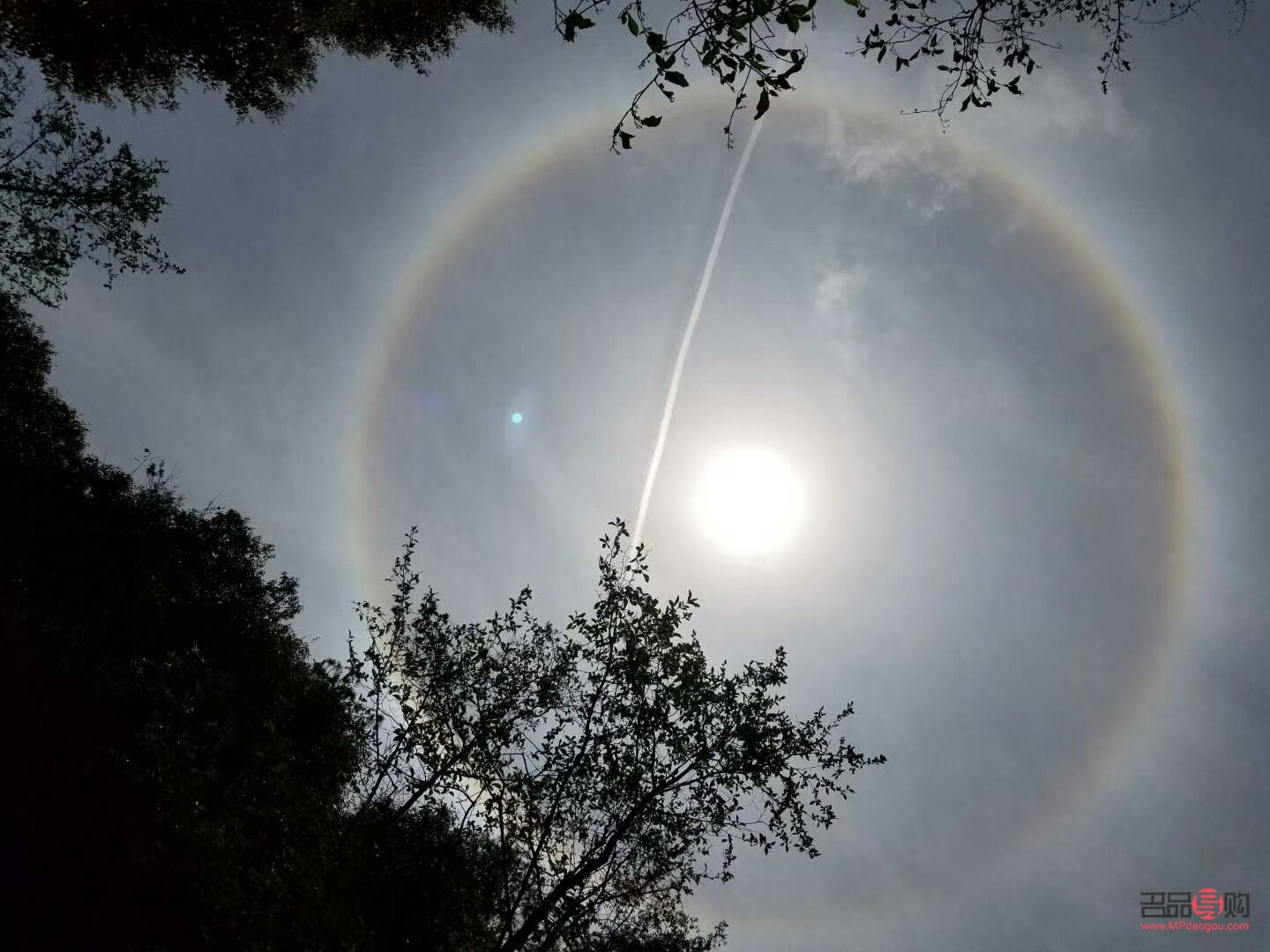 <h3>太阳晒了怎么护理身体</h3>