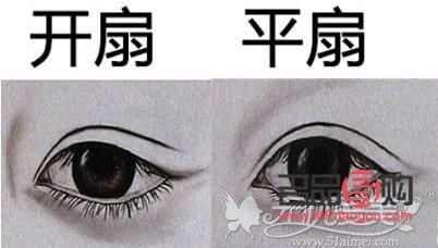 双眼皮扇形和平扇的区别图片(双眼皮扇形和平扇的区别图片对比)