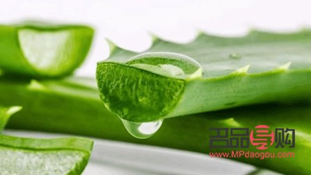 真的芦荟能美容吗(真的芦荟能美容吗有效果吗)