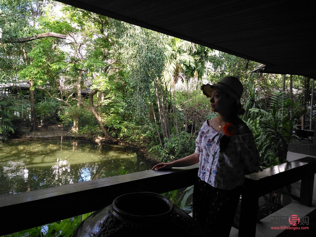 探秘“都是鱼”的神秘礼物