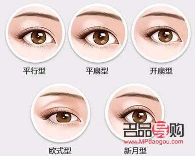 双眼皮有哪几种形状(双眼皮有哪几种形状图片)