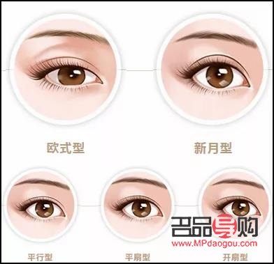 开扇形双眼皮真人图片(开扇形双眼皮的图片)