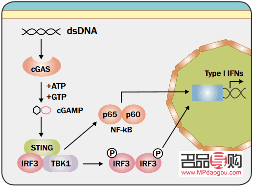 <h3>医学美容探秘：打造完美容颜的科学之道</h3>