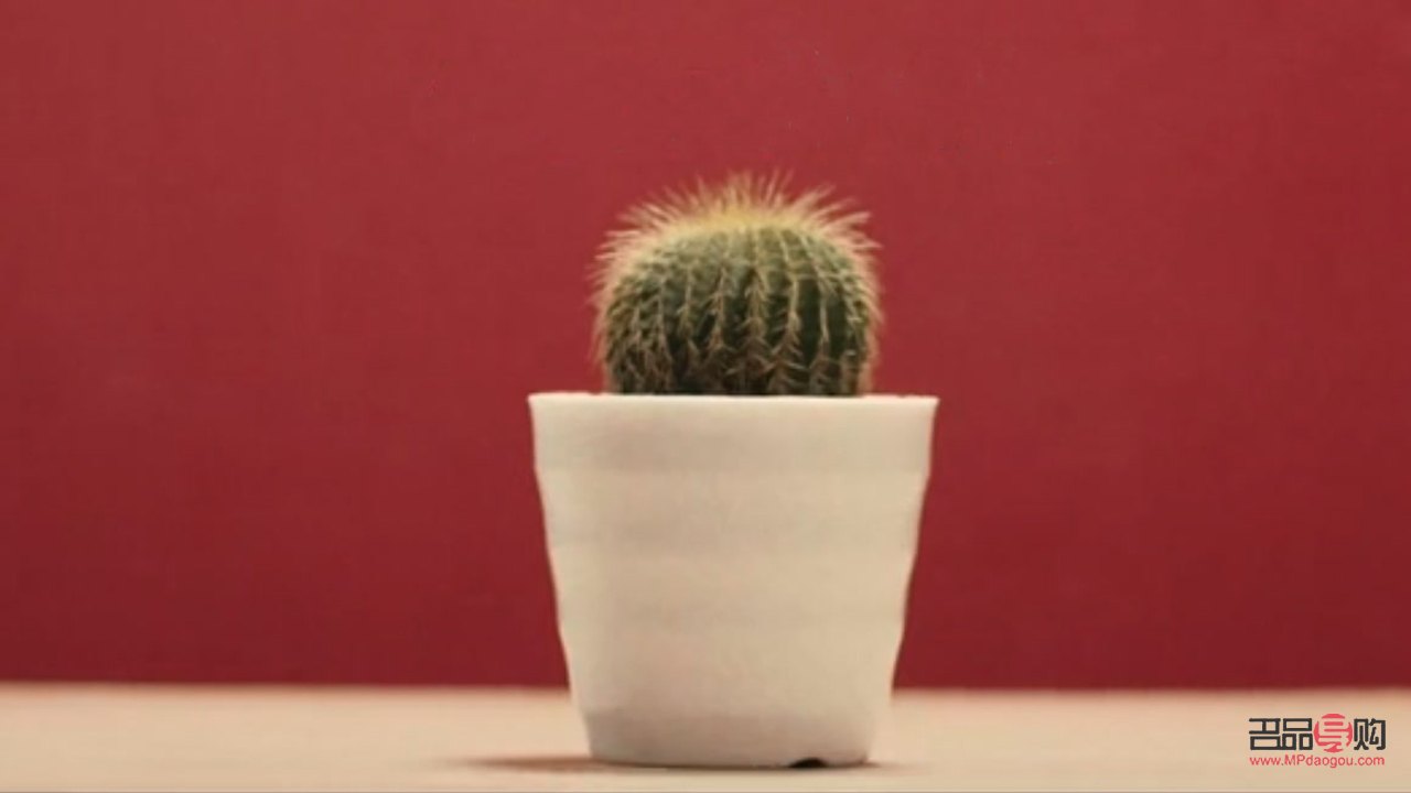 回家给老婆带什么礼物(回家给老婆带什么礼物好)