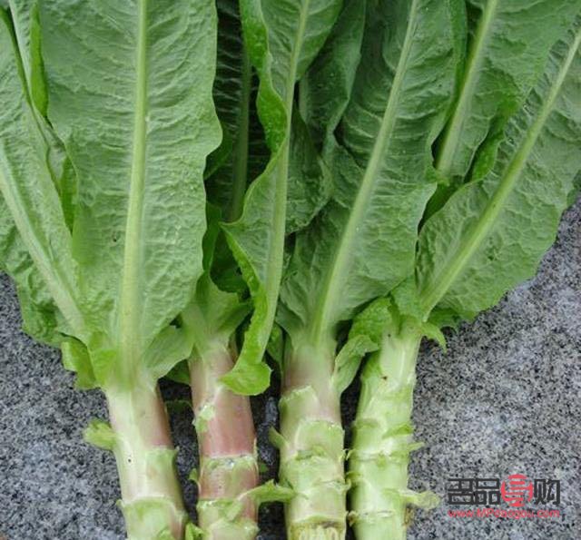 CT彩妆购买攻略——轻松选购，打造完美妆容