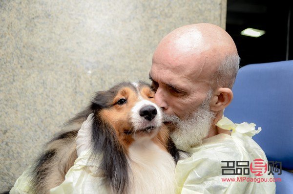 <h3>生病后最想要的礼物</h3>