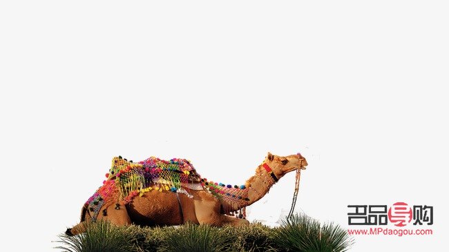 骆驼特效礼物价格探秘