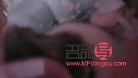 仓鼠美容怎么做