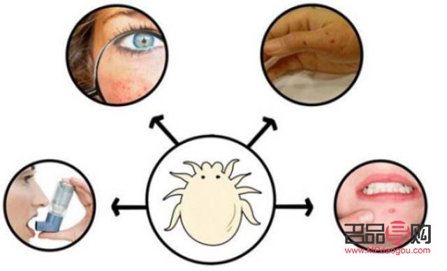 做美容去螨虫吗(做美容去螨虫吗有效果吗)