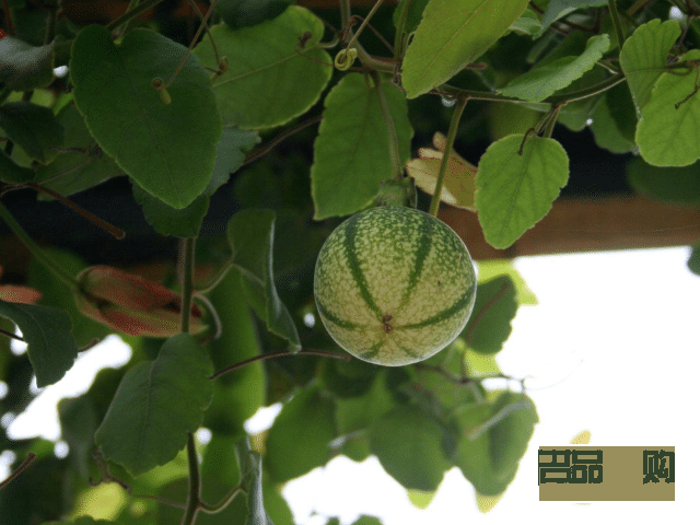 现在学美容好吗(现在学美容好吗女生)