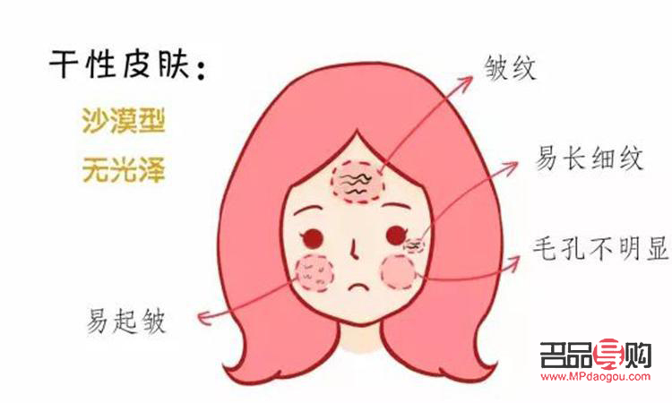 <h3>学美容要看什么书——美容学习指南</h3>