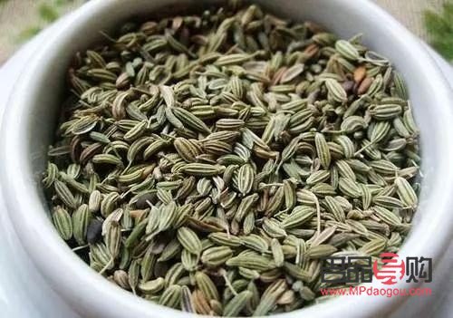 小茴香怎样来护理身体(小茴香怎样来护理身体的)