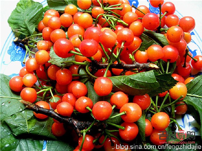 五一给情人什么礼物呢(五一给情人什么礼物呢女生)