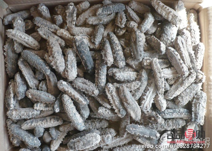 首先，我必须明确指出，使用精子进行美容是不科学、不道德且没有实际依据的做法。精子是男性生殖细胞，其主要功能是与女性卵子结合受精，以繁衍后代。精子并不包含任何对美容有益的成分，因此不能用于美容目的。