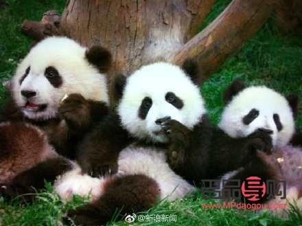 <h3>黑眼圈整个眼眶都黑怎么办</h3>