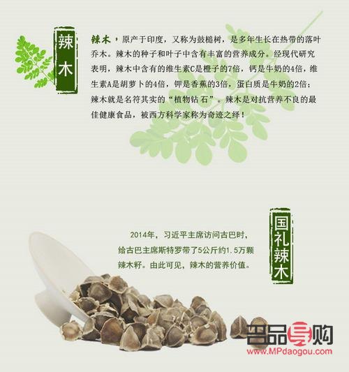 辣木籽的美容功效探究