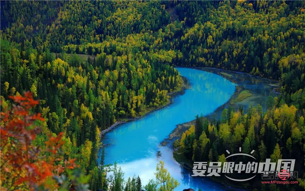 韩镜医疗美容，专业塑造美丽新典范