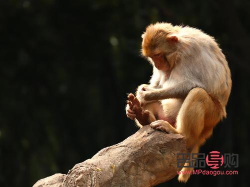 番禺身体护理哪家好点(番禺疗养院体检中心电话号码)