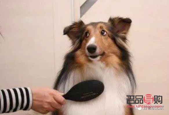 美容护理是学什么(美容护理是学什么的)