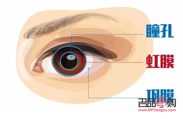 平行眼照片(平行眼照片怎么制作) 平行眼照片(平行眼照片怎么制作)