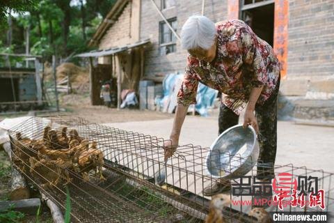 红包类似的礼物探秘：传统与创新的结合