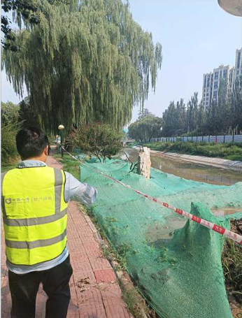 中国人寿全力应对汛期灾害：快速理赔+科技赋能守护民生