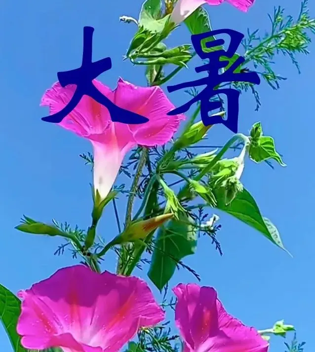 全球互联概念示意图