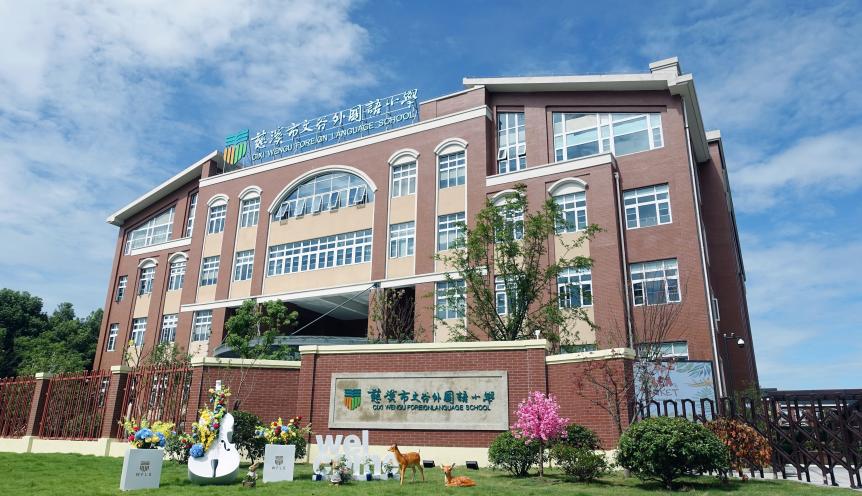 学大教育2025上半年净利润预增60%！解密'个性化教育+多元布局'双引擎增长策略