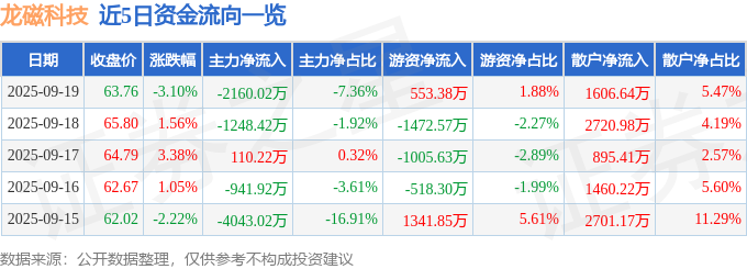 龙磁科技（300835）9月19日主力资金净卖出2160.02万元