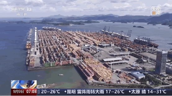 央视聚焦！给“外贸尖子生”盐田港点赞！