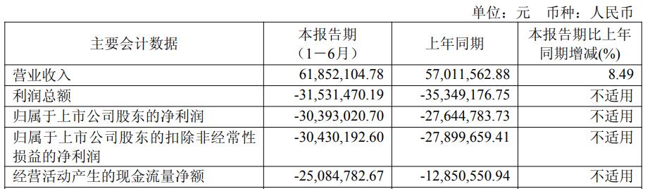 兴图新科上半年亏损已连亏4年 2020上市中泰证券保荐