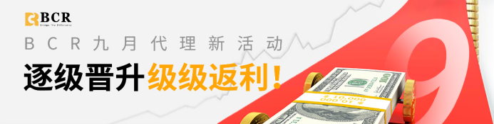 账户亏损怎么办？BCR爆仓机制全面解析