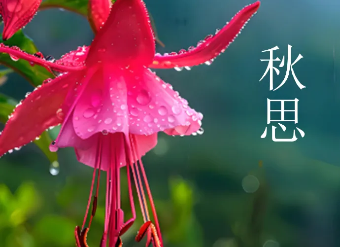 9.04股市早8点丨在结构性牛市中拥抱大牛股