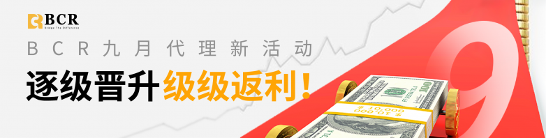 BCR新手必读｜三个关键数值，决定你的账户是否爆仓！
