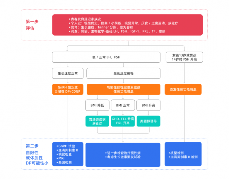 小骨龄≠晚长！别让“晚长”误区，耽误孩子生长关键期