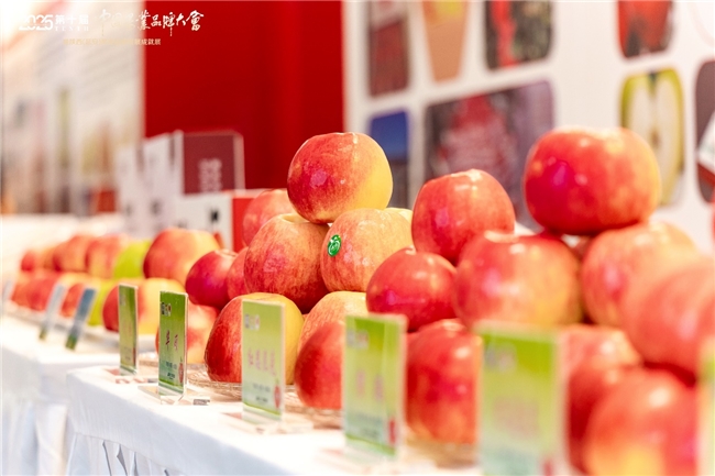 从黄土高原到岭南淮北，顺丰为水果供应链打造一套“出村样本”