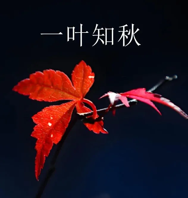 8.22股市早8点丨兵临3800点城下，拿下！