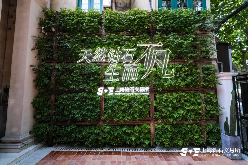 天然钻石市场回暖：稀缺性、保值性与情感价值成投资新焦点