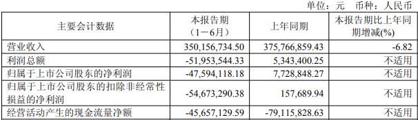 震有科技上半年同比转亏 上市5年亏3年现金流连负8年
