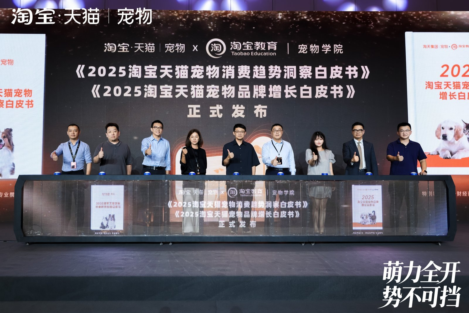 口粮还要分品种？“专宠专用”成天猫预判的下一个宠物品牌增长点