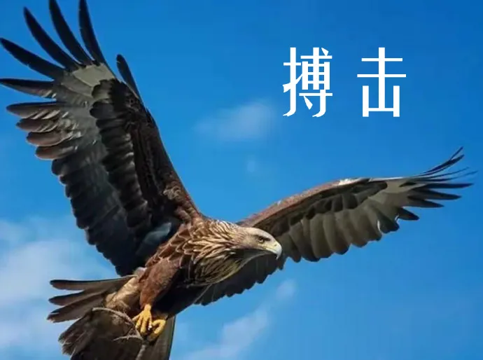 8.19股市早8点丨让盈利跟随已经确定的趋势奔跑