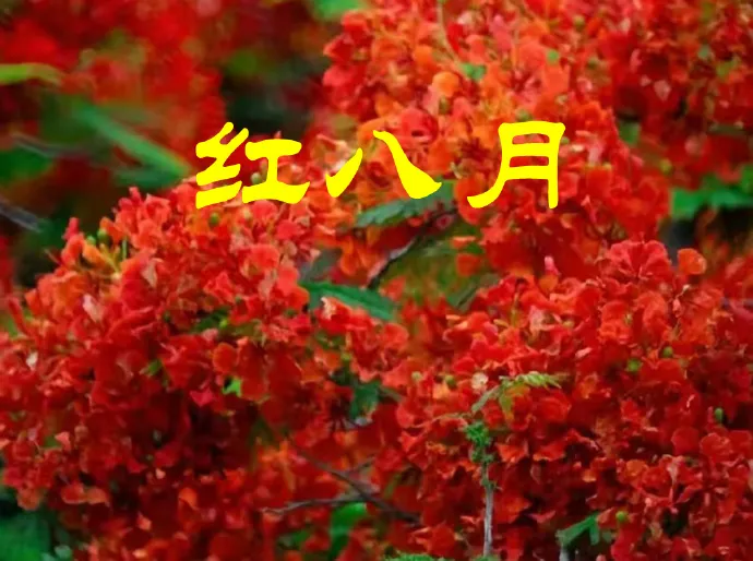 8.14股市早8点丨理念决定盈亏·认知决定财富