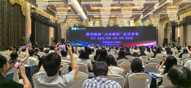 “六大南药”之一肾茶发布！昆药集团亮相云南省中药材产业盛会