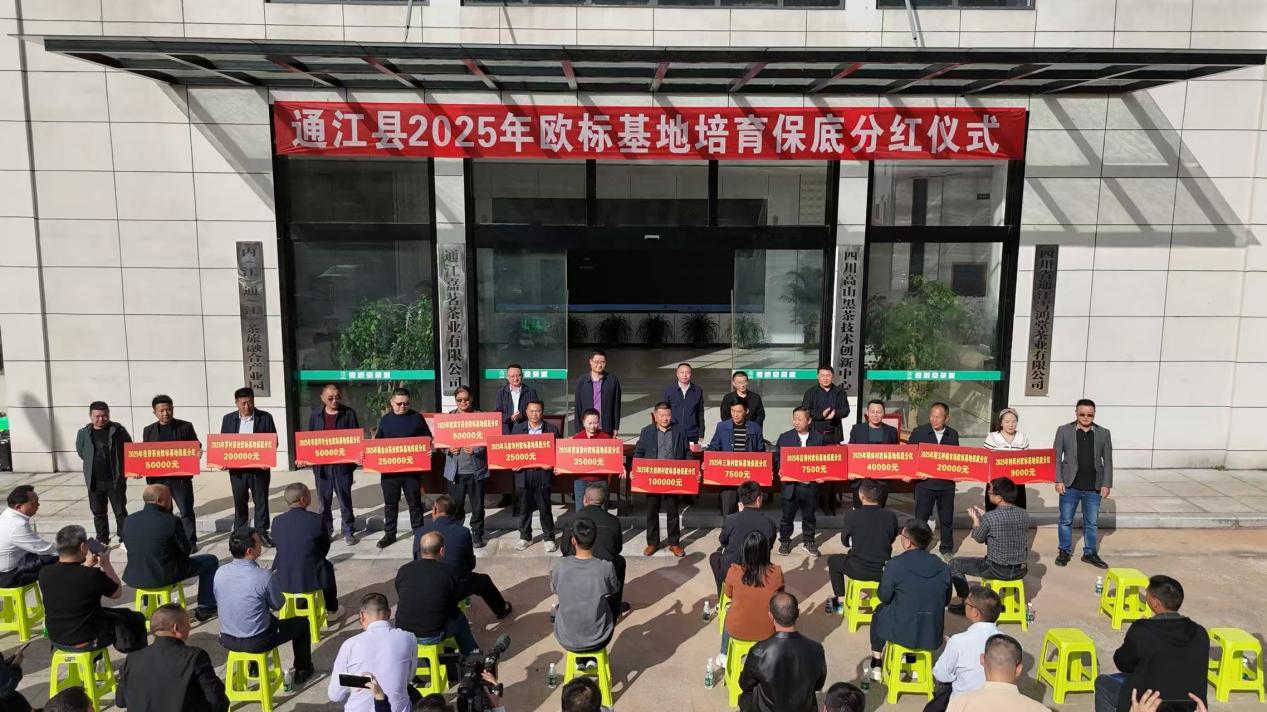 四川通江：产业帮扶提质效 分红增收激活乡村振兴动能