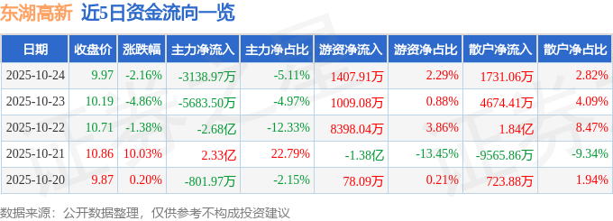东湖高新（600133）10月24日主力资金净卖出3138.97万元