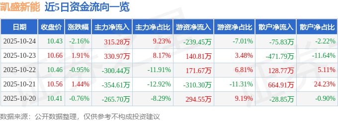 凯盛新能（600876）10月24日主力资金净买入315.28万元