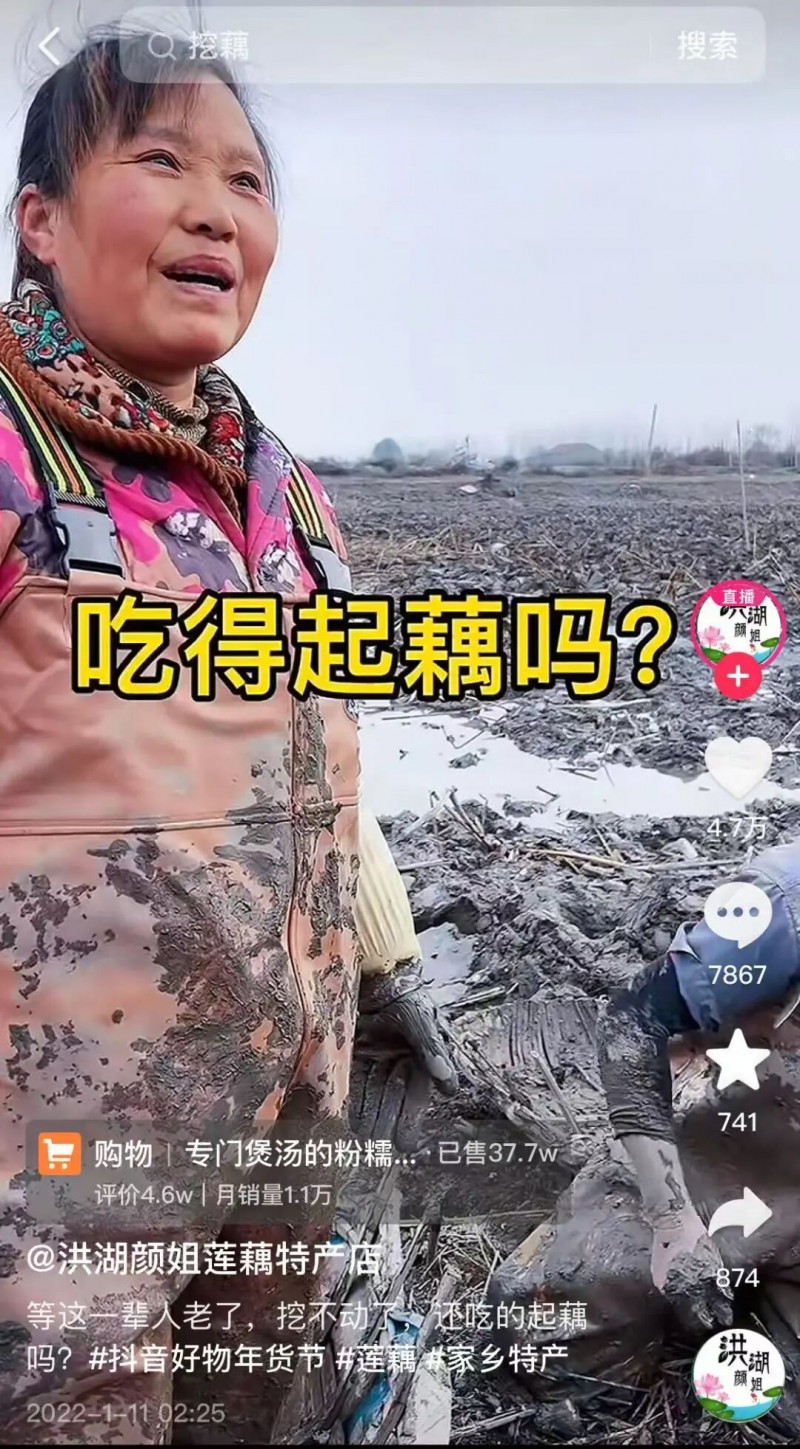 洪湖“藕三代”：挖藕月入两万，年轻人甘做“泥腿子”